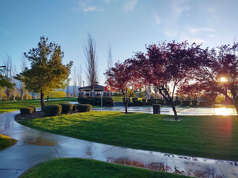 Mt View Park
